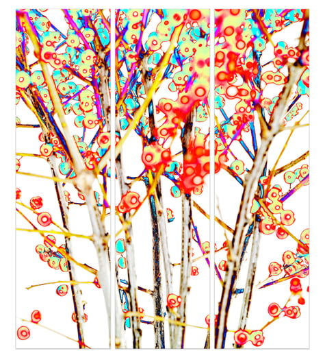 AlbertDelamour_RedDotSolin3_CPrintUnderAcrylic_78x67